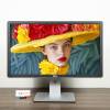Màn hình 24 inch Dell Professional P2415Q 4K